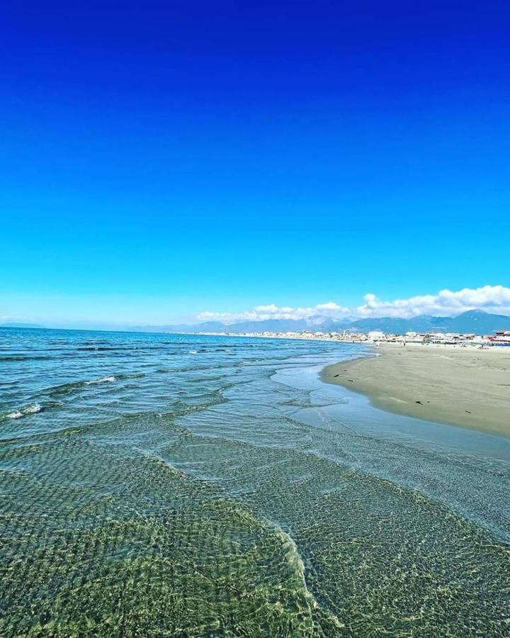 Hotel Pardini Viareggio Ngoại thất bức ảnh
